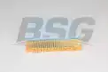 BSG 75135024 Hava Filtresi