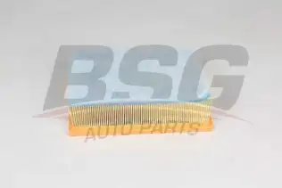 BSG 75135024 Hava Filtresi