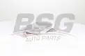 BSG 60145011 Polen Filtresi