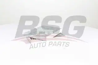 BSG 60145011 Polen Filtresi