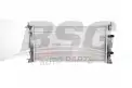 BSG 75520010 Su Radyatörü