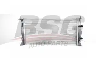 BSG 75520010 Su Radyatörü