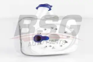 BSG 90506002 Yağ Soğutucusu