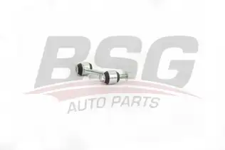 BSG 60310224 Viraj Askı Rotu Arka