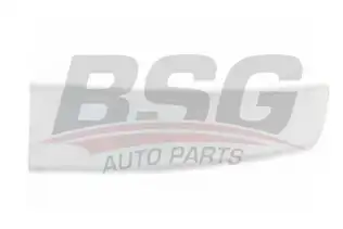 BSG 65924001 Kapı Bandı Ön Sol