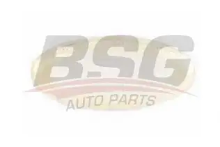 BSG 30810021 Çamurluk Sinyali