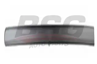 BSG 30924032 Kapı Bandı Ön Sol