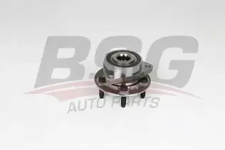 BSG 65600015 Porya Ön