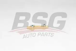 BSG 30109040 Eksantrik Zincir Gergisi