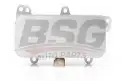 BSG 90506005 Yağ Soğutucusu