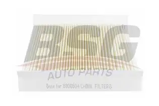 BSG 65145006 Polen Filtresi