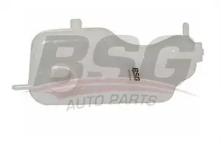 BSG 30550016 Radyatör Yedek Su Deposu