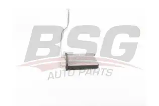 BSG 40530017 Kalorifer Radyatörü