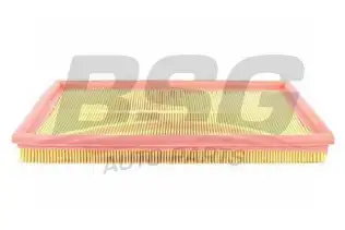 BSG 65135003 Hava Filtresi