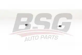 BSG 60725021 Yakıt Hortumu