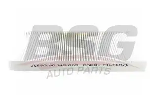 BSG 60145003 Polen Filtresi