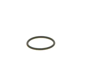 BOSCH 2440210039 Lastik - 25. Görsel