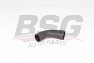 BSG 65700343 Turbo Hortumu