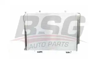 BSG 60520035 Su Radyatörü