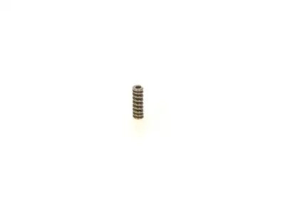 BOSCH 1414614012 Basınç Yayı - 5. Görsel