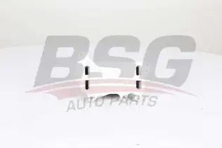 BSG 15506015 Yağ Radyatörü