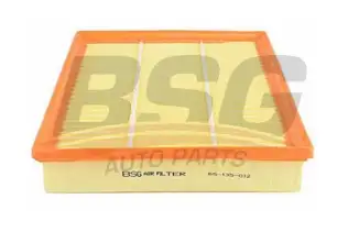 BSG 65135012 Hava Filtresi