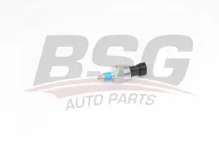 BSG 25840004 Geri Vites Müşürü