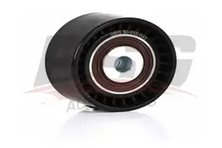 BSG 30615036 Eksantrik Gergi Rulmanı