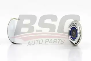 BSG 60310171 Viraj Askı Rotu Arka