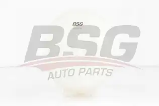 BSG 70550009 Radyatör Yedek Su Deposu