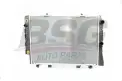 BSG 60520022 Su Radyatörü