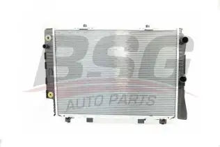 BSG 60520022 Su Radyatörü