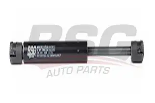 BSG 60980017 Bagaj Amortisörü