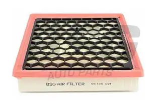 BSG 65135021 Hava Filtresi