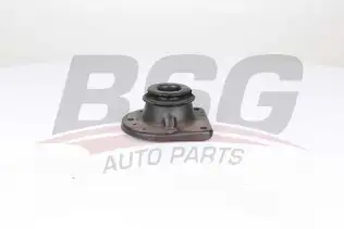 BSG 25700008 Amortisör Takozu Ön Sağ