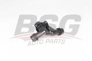 BSG 15126019 Termostat