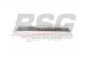 BSG 70145008 Polen Filtresi