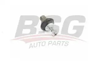 BSG 60310235 Rotil Alt