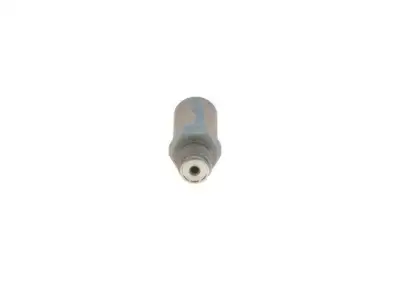 BOSCH 1110010032 Basınç Sınırlama Valfi - 2. Görsel