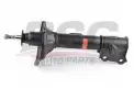 BSG 40300018 Amortisör Arka Sağ