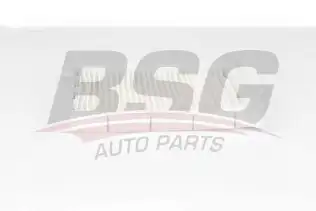 BSG 75145002 Polen Filtresi