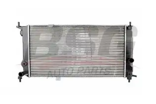 BSG 65520014 Su Radyatörü