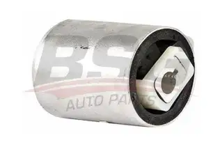 BSG 15700006 Salıncak Burcu