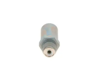 BOSCH 1110010030 Basınç Sınırlama Valfi - 3. Görsel