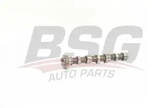 BSG 90108011 Eksantrik Mili