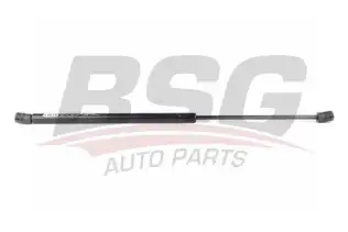 BSG 65980031 Bagaj Amortisörü