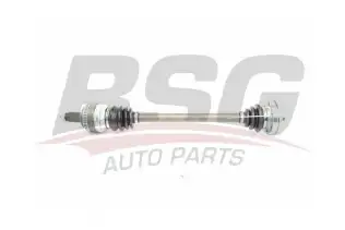 BSG 15350006 Aks Komple Arka Sol