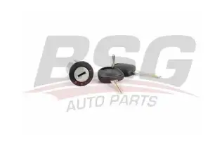 BSG 65856006 Kontak Kilit Silindiri