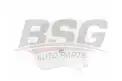 BSG 65550003 Radyatör Yedek Su Deposu