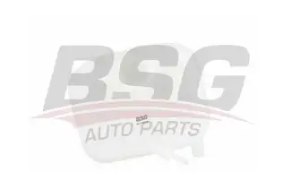 BSG 65550003 Radyatör Yedek Su Deposu